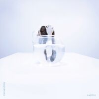 Clara Andres - Capfico vinyl cover