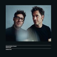 Clemens Christian Poetzsch - Collateral Flow vinyl cover
