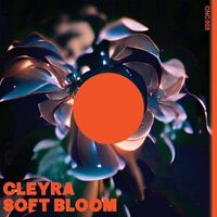 Cleyra - Soft Bloom vinyl cover