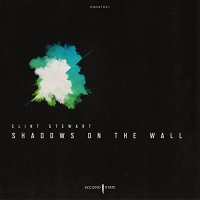Clint Stewart - Shadows On The Wall vinyl cover