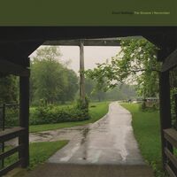 Cloud Nothings - The Shadow I Remember "Forest City" vinyl cover