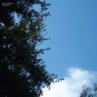 Cloud Nothings - Turning On vinyl cover