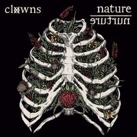 Clowns - Nature / Nurture vinyl cover