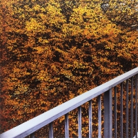 Cobby & Litten - Boothferry vinyl cover