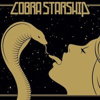 Cobra Starship - While the City Sleeps, We Rule the Streets vinyl cover