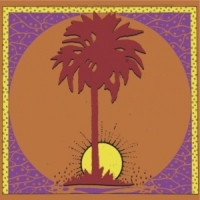 Coca Leaf - Deep Marble Sunrise vinyl cover