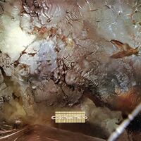 Cocteau Twins - Head Over Heels vinyl cover