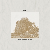 Coil - Another Brown World / Baby Food vinyl cover