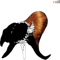 Coil - Black Antlers vinyl cover
