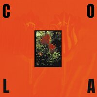 Cola - The Gloss vinyl cover
