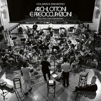 Colapesce Dimartino - Archi Ottoni E Preoccupazioni Colapesc vinyl cover