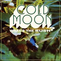 Cold Moon - What's The Rush vinyl cover