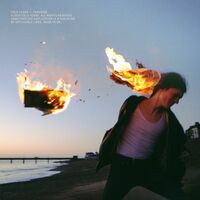 Cold Years - Paradise vinyl cover