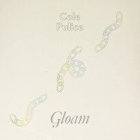 Cole Pulice - Gloam vinyl cover