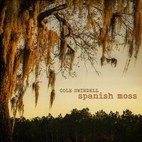 Cole Swindell - Spanish Moss vinyl cover