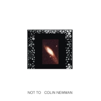 Colin Newman - Not To vinyl cover
