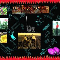 Colonel Bruce Hampton - Arkansas vinyl cover