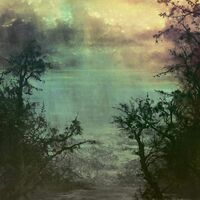 Coltsblood  &  Un - Split vinyl cover