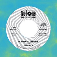 Combo Tezeta - La Danza del Camaleon / La Reina Nocturna  vinyl cover