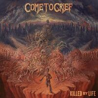Come To Grief - Killed By Life vinyl cover