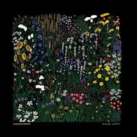 Comment Debord - Monde Autour vinyl cover