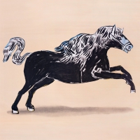 Community Radio - Look Now You're Cursed vinyl cover