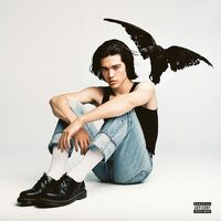 Conan Gray - Kid Krow vinyl cover