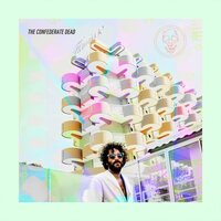 Confederate Dead - Flamingo vinyl cover