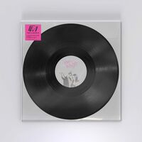 Confidence Man - First Class Bitch Remixes vinyl cover