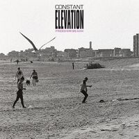 Constant Elevation - Freedom Beach vinyl cover