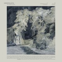 Constellatia - Language Of Limbs vinyl cover