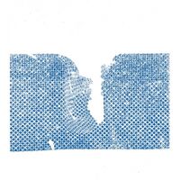 Container - Scramblers vinyl cover