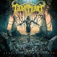 Continuum - Designed Obsolescence vinyl cover