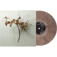 Copeland - In Motion vinyl cover