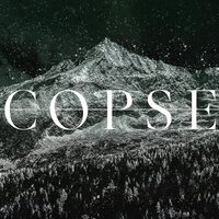 Copse - MMXXIV vinyl cover