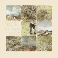 Cormorant Tree Oh - Moonish vinyl cover