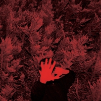 Cory Hanson - The Unborn Capitalist From Limbo vinyl cover