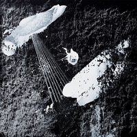 Cosmin Trg - Oblic / Serpenti vinyl cover