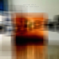 Cotton Wolf - Life In Analogue vinyl cover