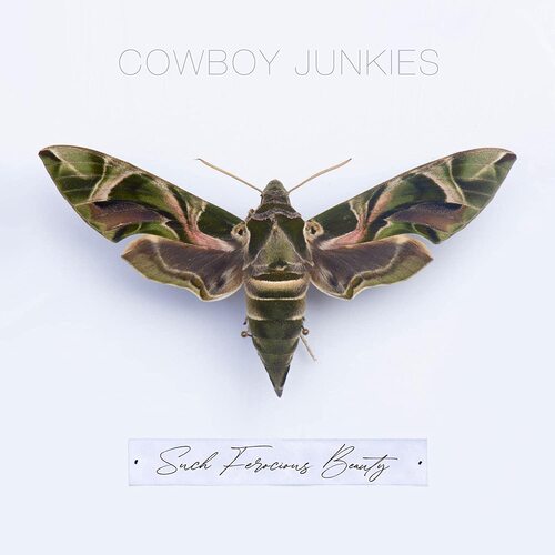Cowboy Junkies - Such Ferocious Beauty vinyl cover