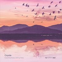Coyote - Everything Moves Nothing Rests vinyl cover