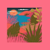 Coyote & Peaking Lights - Love Letters vinyl cover