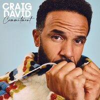 Craig David - Commitment vinyl cover