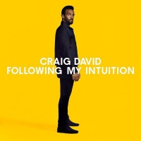 Craig David - Following My Intuition vinyl cover