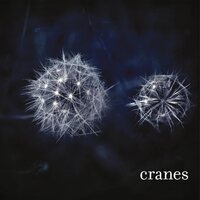 Cranes - Cranes vinyl cover