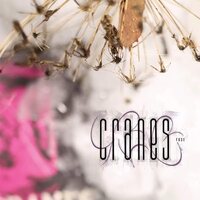 Cranes - Fuse vinyl cover