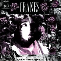 Cranes - Self-Non-Self (Expanded Edition Black & White Marble) vinyl cover