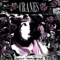 Cranes - Self-Non-Self (Crystal Clear) vinyl cover