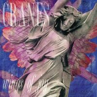 Cranes - Wings Of Joy vinyl cover