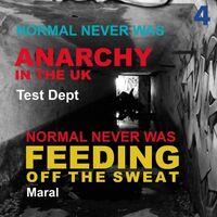 Crass - Normal Never Was Iv vinyl cover